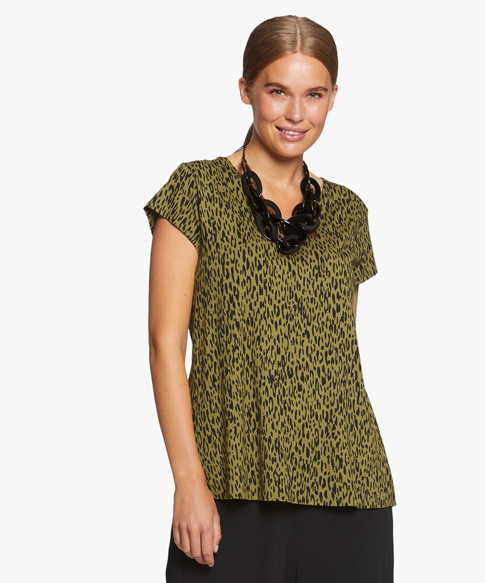 DIGNA TOP, Lizard