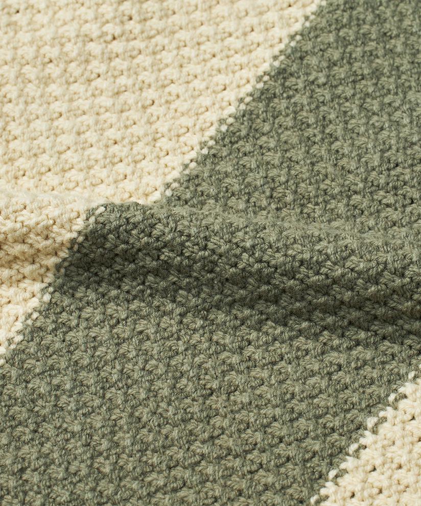 Fancy Jumper, D. Lichen Green